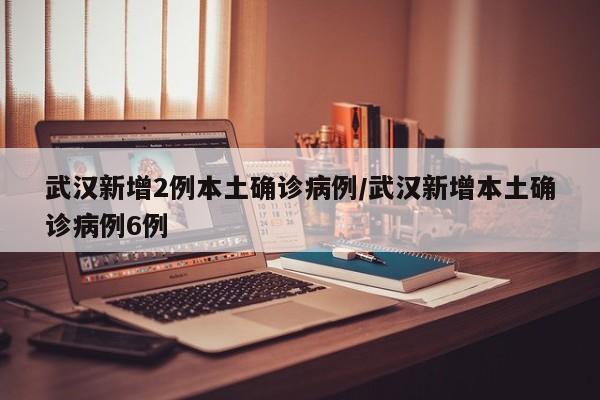 武汉新增2例本土确诊病例/武汉新增本土确诊病例6例