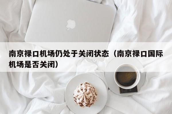 南京禄口机场仍处于关闭状态(南京禄口国际机场是否关闭)