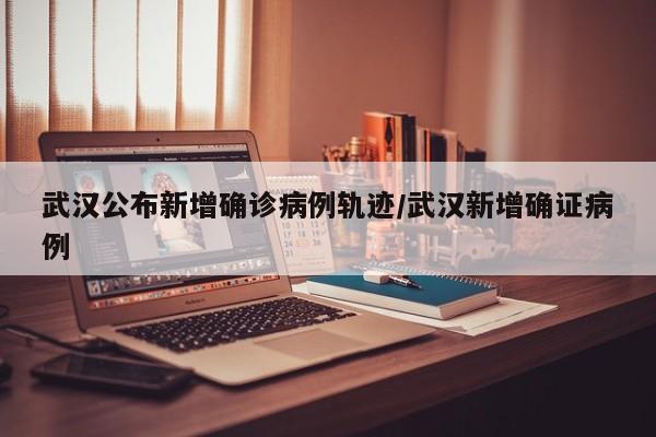 武汉公布新增确诊病例轨迹/武汉新增确证病例